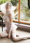Women's cosplay lace sexy lingerie set