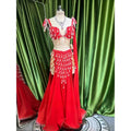 Customized Belly Dance Costumes Performance Dress Set Oriental Dance Dress Suit bra belt skirt