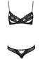 Sexy Lace Hollow Out Thin Underwear Back Mesh Perspective Bra Set