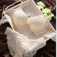 Sexy Lingerie Full Lace Bra Set